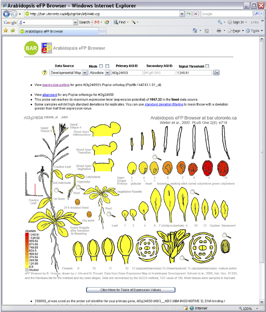 https://www.researchgate.net/figure/Exploring-Arabidopsis-Gene-Expression-Data-with-the-eFP-Browser-Winter-et-al-2007_fig2_24376308