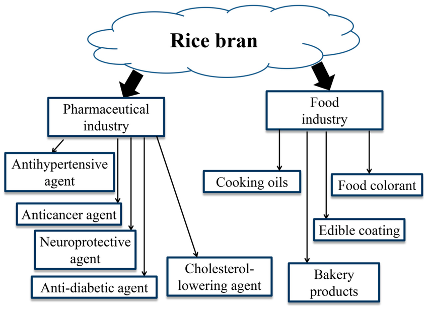 https://www.researchgate.net/figure/The-applications-of-rice-bran-in-pharmaceutical-and-food-industries_fig3_371110554