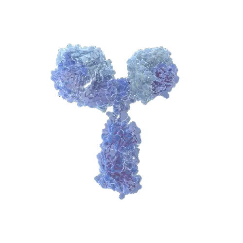 [ANT-H00002821-PW1] GPI (Human) IP-WB Antibody Pair